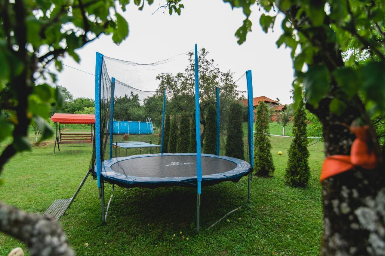 Pensiunea Alexia Novaci-Straini Bagian luar foto